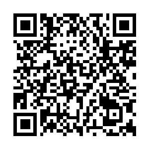 Lien vers votre campagne QRCode - Collecte de fonds