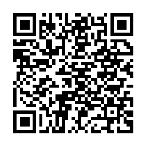 Lien vers votre campagne QRCode - Collecte de fonds