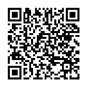 Lien vers votre campagne QRCode - Collecte de fonds