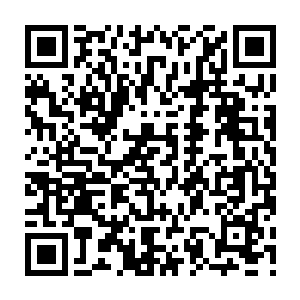 Lien vers votre campagne QRCode - Collecte de fonds