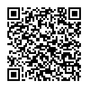 Lien vers votre campagne QRCode - Collecte de fonds