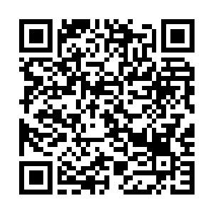 Lien vers votre campagne QRCode - Collecte de fonds