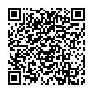 Lien vers votre campagne QRCode - Collecte de fonds