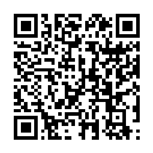 Lien vers votre campagne QRCode - Collecte de fonds