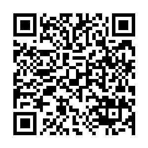 Lien vers votre campagne QRCode - Collecte de fonds