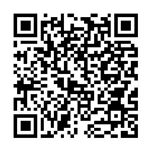 Lien vers votre campagne QRCode - Collecte de fonds