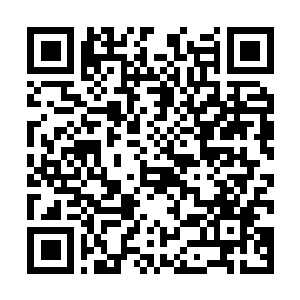Lien vers votre campagne QRCode - Collecte de fonds