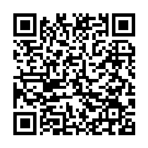 Lien vers votre campagne QRCode - Collecte de fonds