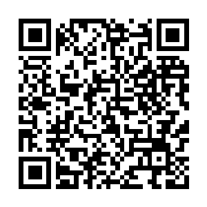 Lien vers votre campagne QRCode - Collecte de fonds