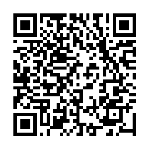 Lien vers votre campagne QRCode - Collecte de fonds