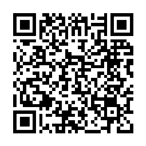 Lien vers votre campagne QRCode - Collecte de fonds