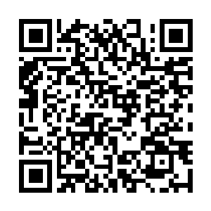 Lien vers votre campagne QRCode - Collecte de fonds