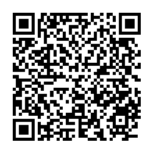 Lien vers votre campagne QRCode - Collecte de fonds