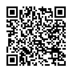 Lien vers votre campagne QRCode - Collecte de fonds