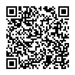 Lien vers votre campagne QRCode - Collecte de fonds