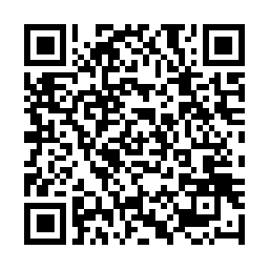Lien vers votre campagne QRCode - Collecte de fonds