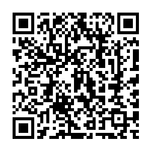 Lien vers votre campagne QRCode - Collecte de fonds