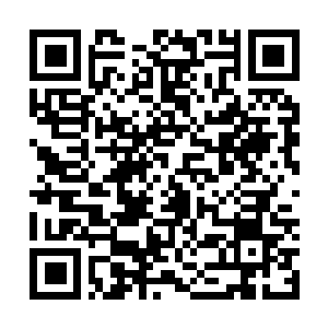 Lien vers votre campagne QRCode - Collecte de fonds