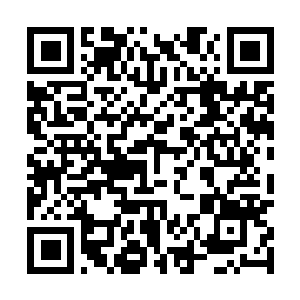 Lien vers votre campagne QRCode - Collecte de fonds