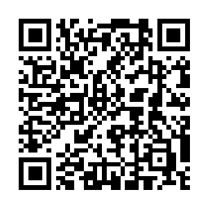 Lien vers votre campagne QRCode - Collecte de fonds