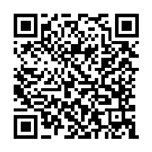 Lien vers votre campagne QRCode - Collecte de fonds