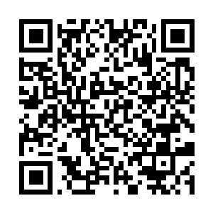 Lien vers votre campagne QRCode - Collecte de fonds