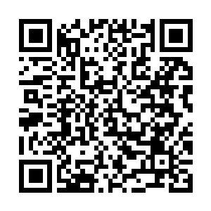 Lien vers votre campagne QRCode - Collecte de fonds