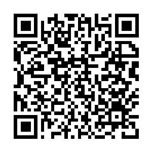 Lien vers votre campagne QRCode - Collecte de fonds