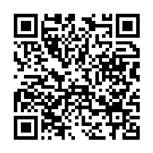Lien vers votre campagne QRCode - Collecte de fonds