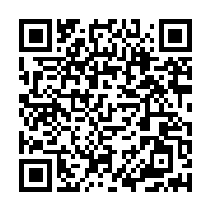 Lien vers votre campagne QRCode - Collecte de fonds