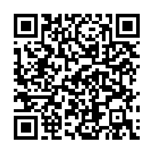 Lien vers votre campagne QRCode - Collecte de fonds