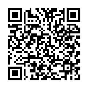 Lien vers votre campagne QRCode - Collecte de fonds