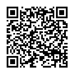 Lien vers votre campagne QRCode - Collecte de fonds