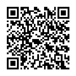 Lien vers votre campagne QRCode - Collecte de fonds