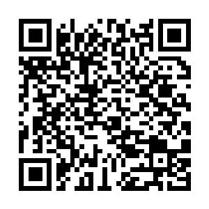 Lien vers votre campagne QRCode - Collecte de fonds