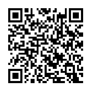 Lien vers votre campagne QRCode - Collecte de fonds