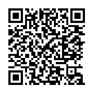 Lien vers votre campagne QRCode - Collecte de fonds