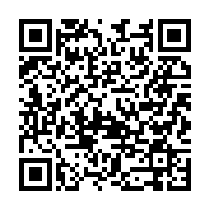 Lien vers votre campagne QRCode - Collecte de fonds