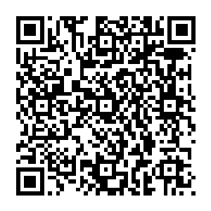 Lien vers votre campagne QRCode - Collecte de fonds