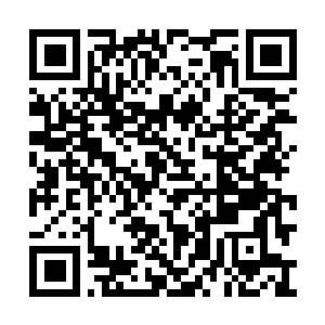 Lien vers votre campagne QRCode - Collecte de fonds