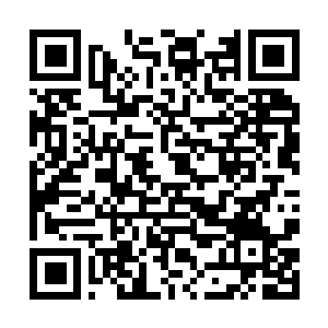 Lien vers votre campagne QRCode - Collecte de fonds