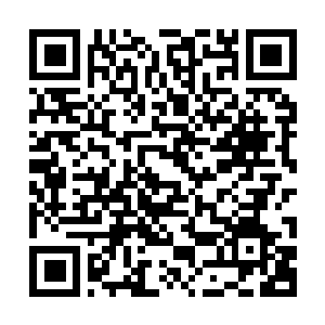 Lien vers votre campagne QRCode - Collecte de fonds