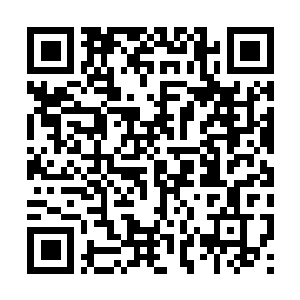 Lien vers votre campagne QRCode - Collecte de fonds
