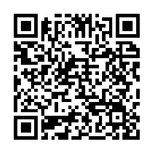 Lien vers votre campagne QRCode - Collecte de fonds