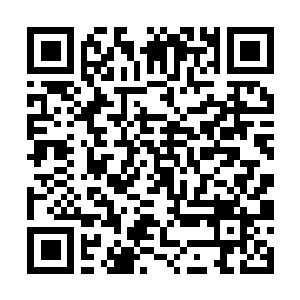 Lien vers votre campagne QRCode - Collecte de fonds