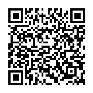 Lien vers votre campagne QRCode - Collecte de fonds