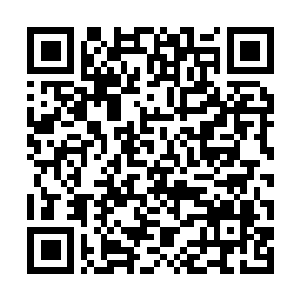 Lien vers votre campagne QRCode - Collecte de fonds