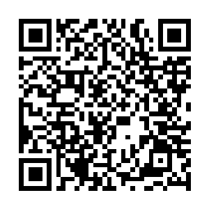 Lien vers votre campagne QRCode - Collecte de fonds