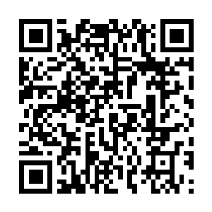 Lien vers votre campagne QRCode - Collecte de fonds