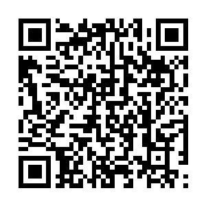 Lien vers votre campagne QRCode - Collecte de fonds
